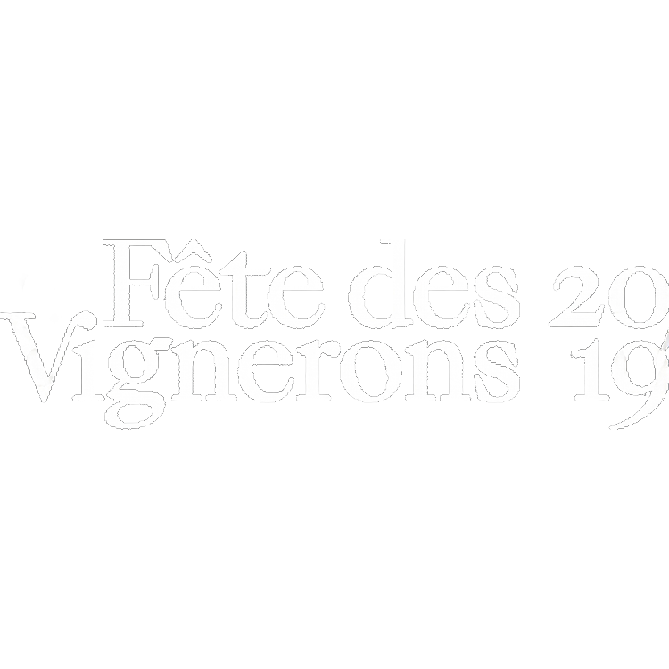 FDV logo